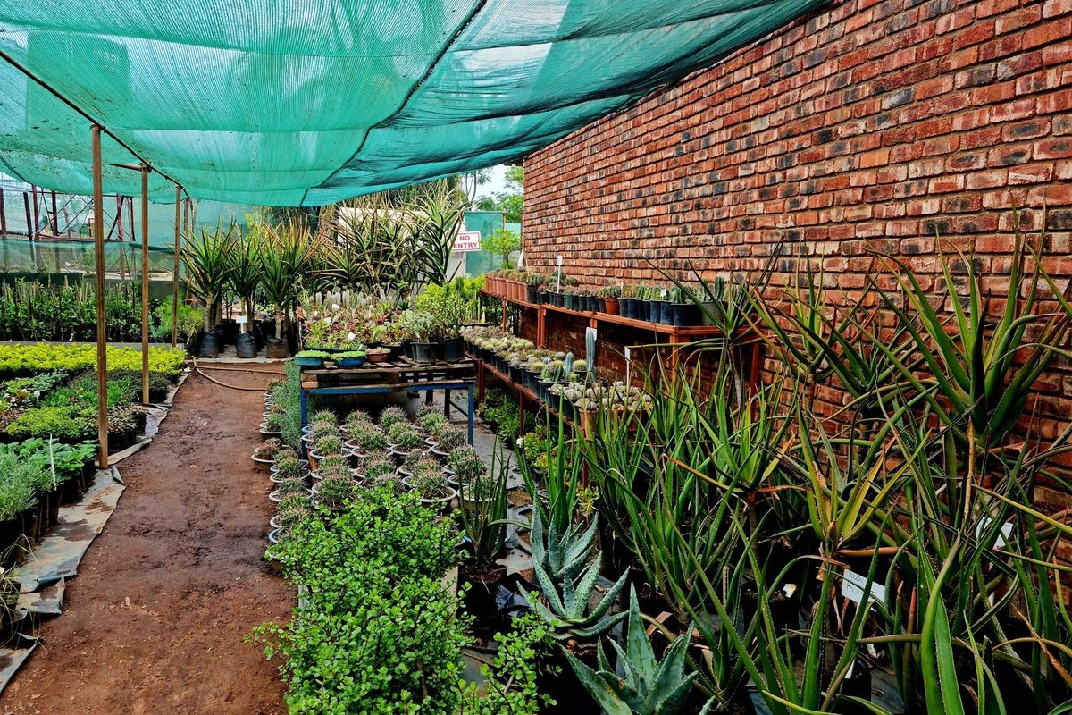 Thriving Commercial Gem in Louis Trichardt: A Shopper's Paradise Oasis - Photo 5