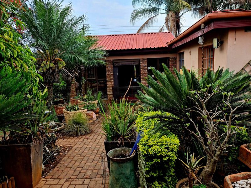 A view of the rear garden area featuring a brick pathway, established landscaping, and a building with a red metal roof.