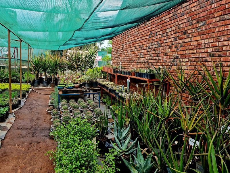 A retail nursery area featuring a large exposed brick wall, tiered wooden shelving for plants, and a protective green shade cloth canopy.
