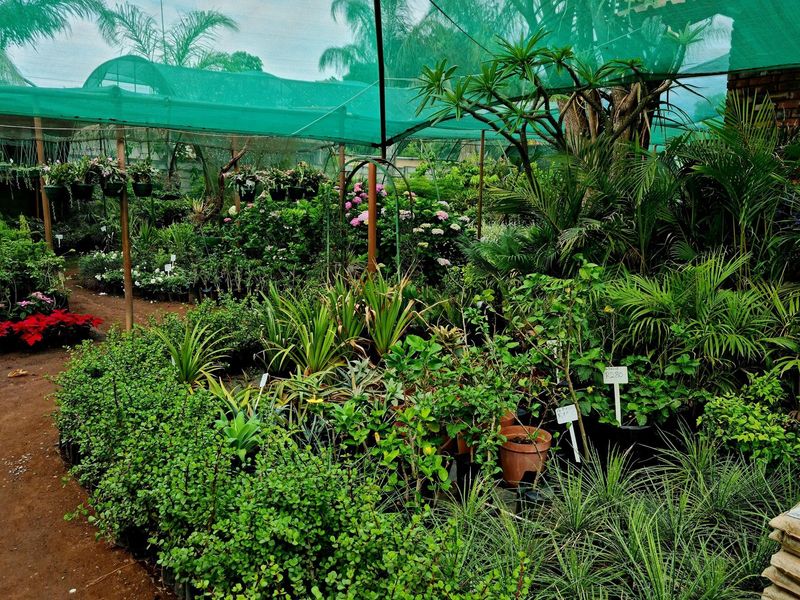 A retail nursery area featuring a large shade cloth structure covering a variety of potted plants and landscaped garden stock.