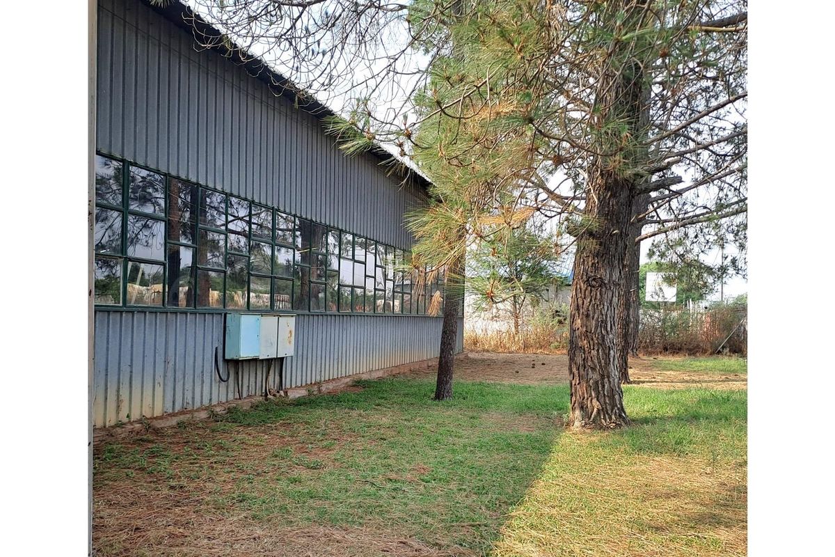 Excellent Industrial Property for a give away price in  Tumahole, Parys with a big house on property - Photo 4