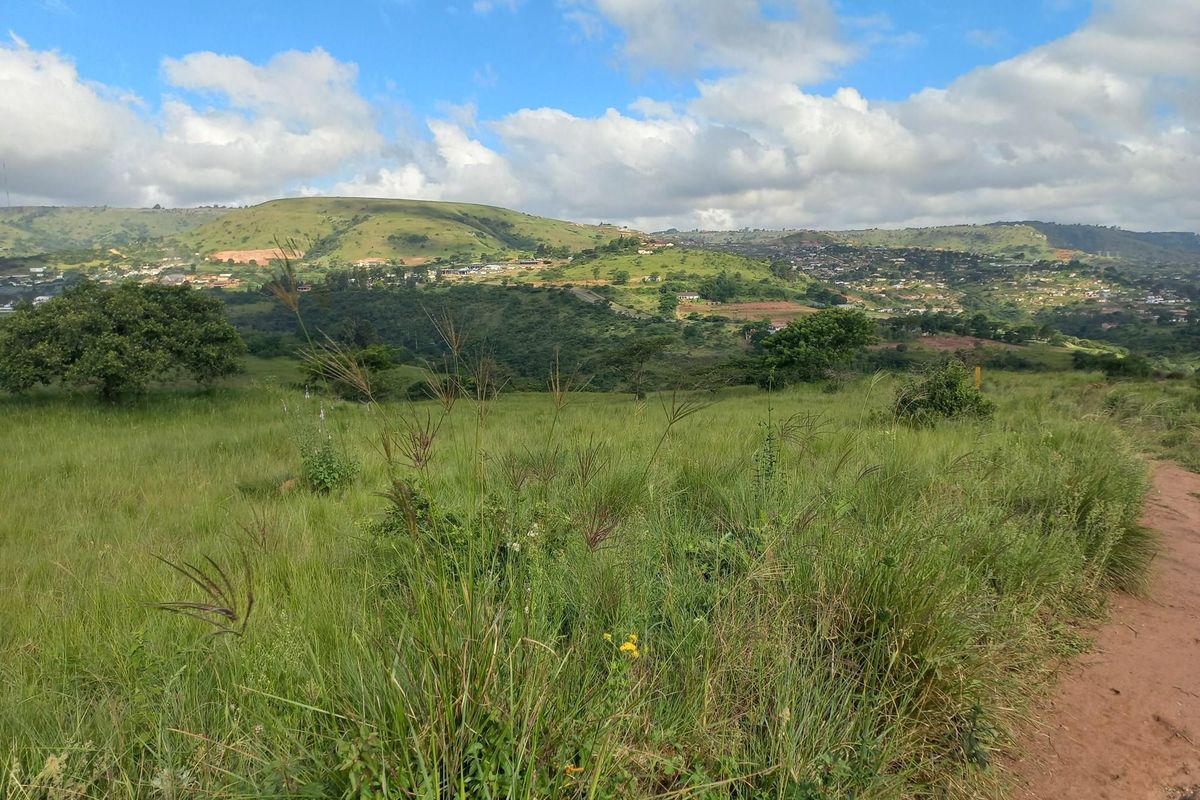 Vacant land in a Prime Location - Photo 4