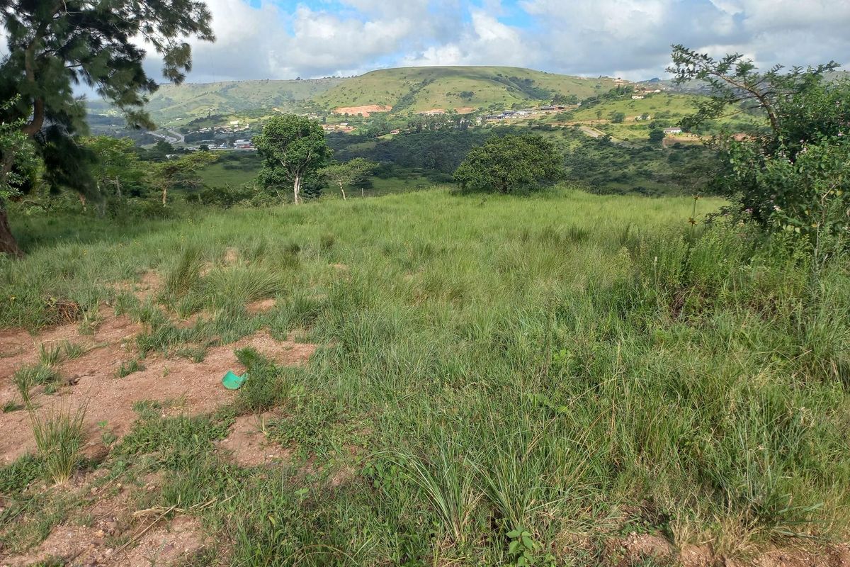 A scenic view of an undeveloped plot of land featuring natural grass and surrounding hilly landscape.