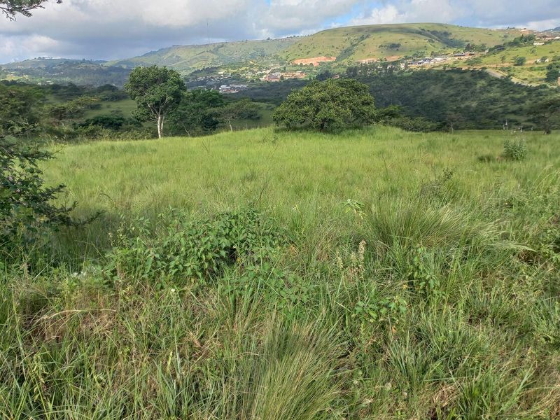 Expansive undeveloped land featuring natural grassland and scenic rolling hill views, offering potential for future commercial or residential development.
