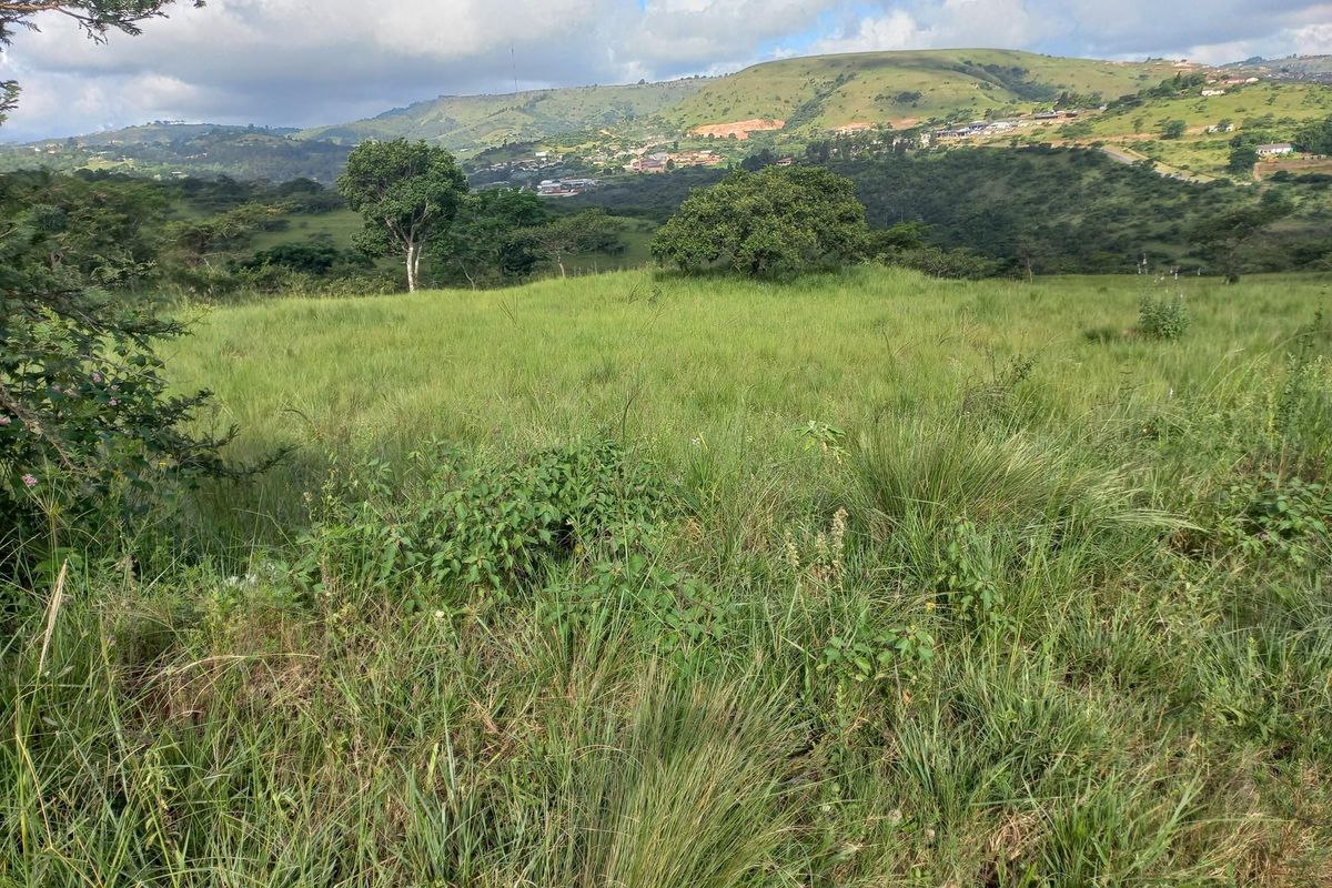 Expansive undeveloped land featuring natural grassland and scenic rolling hill views, offering potential for future commercial or residential development.