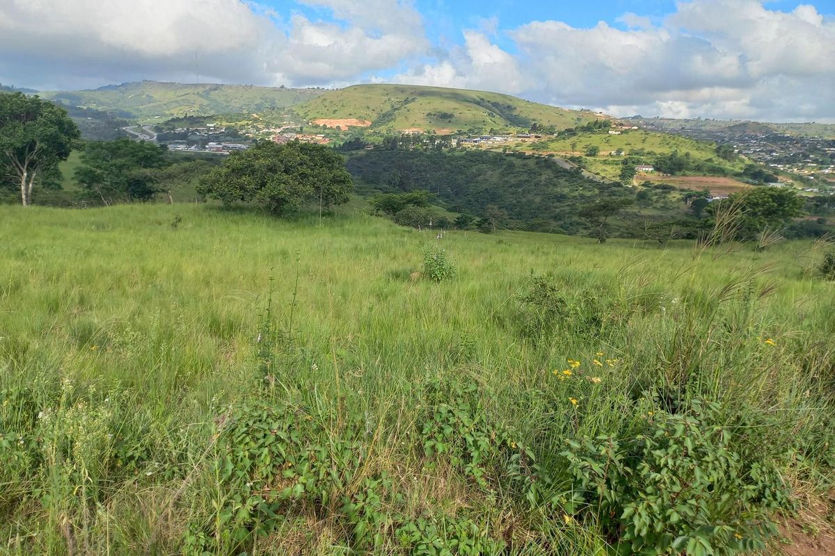 Expansive view of rolling green hills and natural landscape, showcasing the scenic outlook from the property.