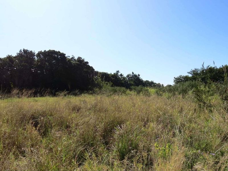 Developement land available opposite South Coast Mall - Photo 8