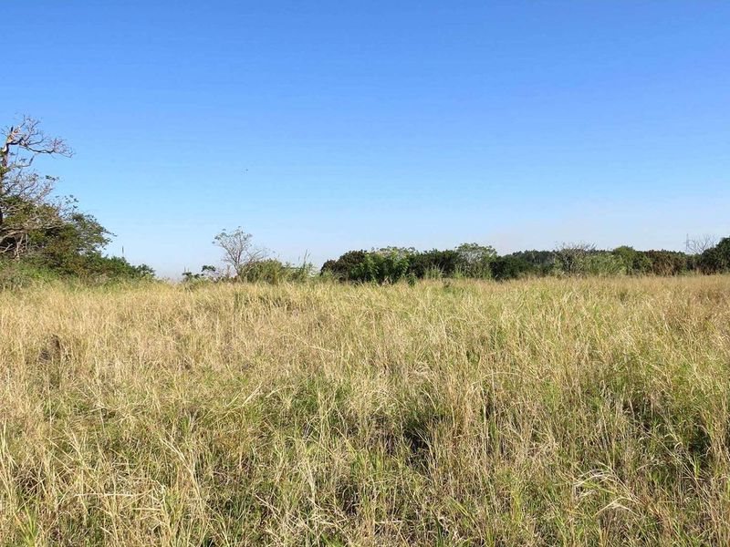 Developement land available opposite South Coast Mall - Photo 10