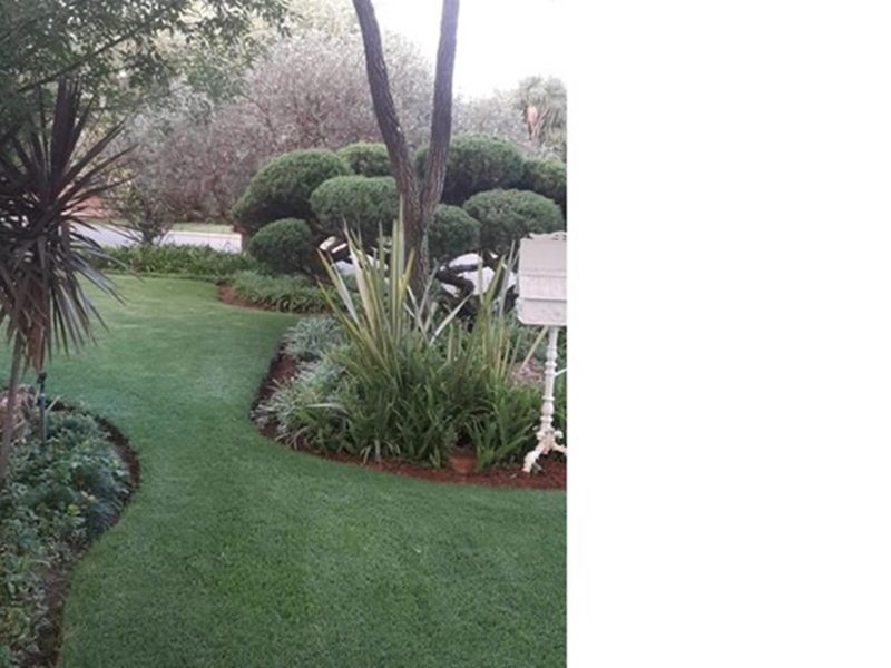 ENTERTAINERS DREAM AND MORE ... - Photo 3