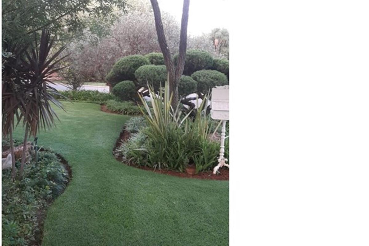 ENTERTAINERS DREAM AND MORE ... - Photo 3