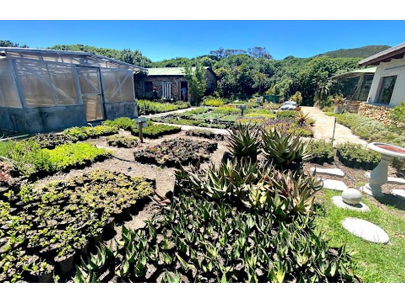 845 sqm plot in Franskraal in Gansbaai incl approved building plan ... - Photo 8