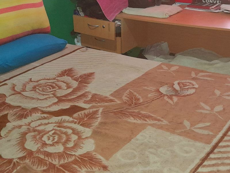 Charming Three-Bedroom Cottage in Trenance Park, Verulam. Road level, stepless with huge yard, - Photo 7