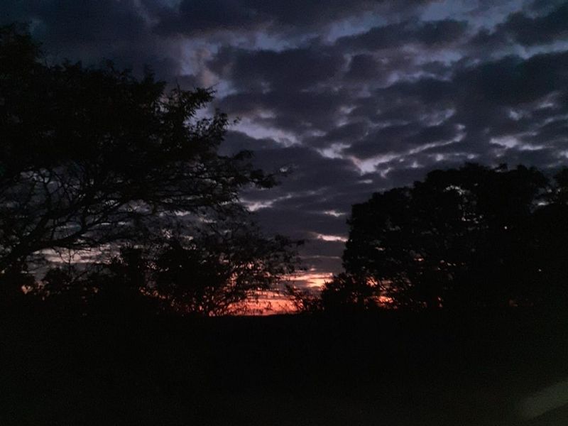 BREATHTAKING VIEWS - MONATE PRIVATE GAME RESERVE (SHARE BLOCK) - Photo 10