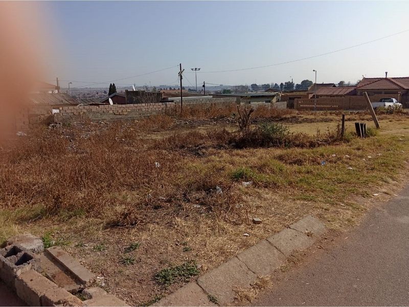 A vacant residential plot featuring a boundary wall and street-side curb, currently covered in dry, overgrown vegetation.
