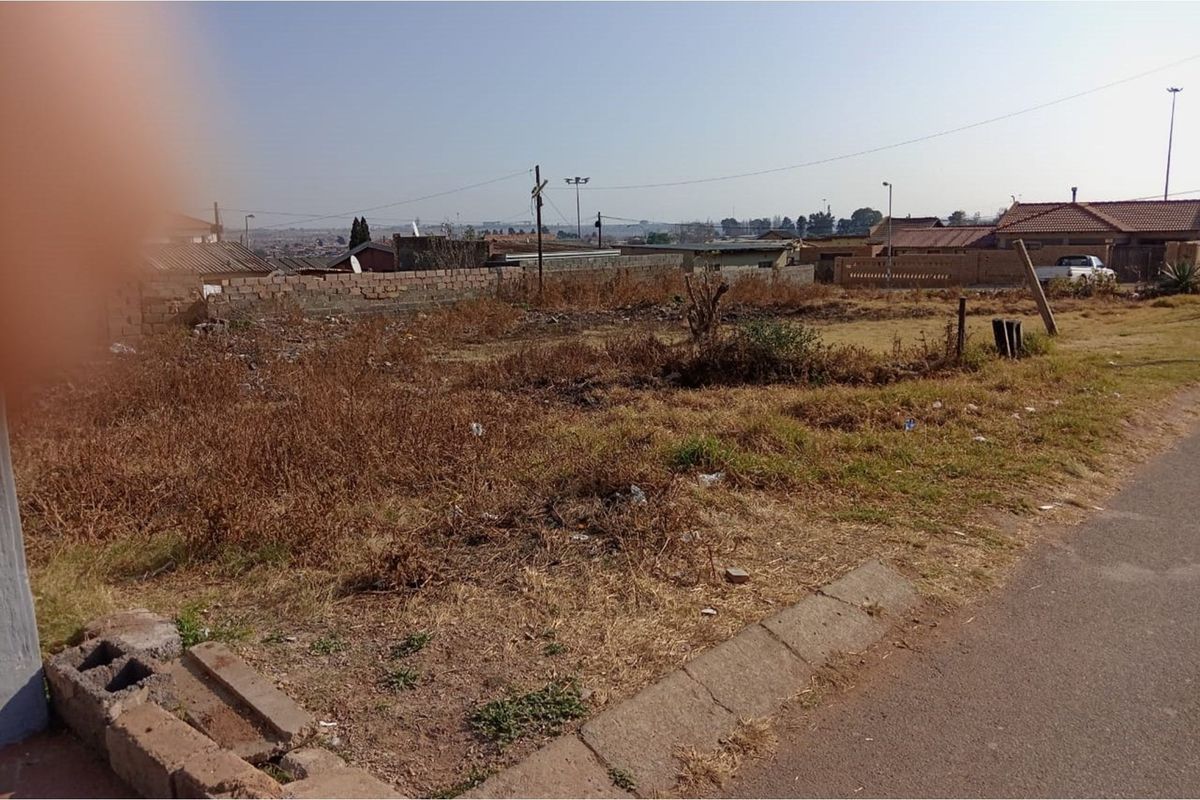 A vacant residential plot featuring a boundary wall and street-side curb, currently covered in dry, overgrown vegetation.