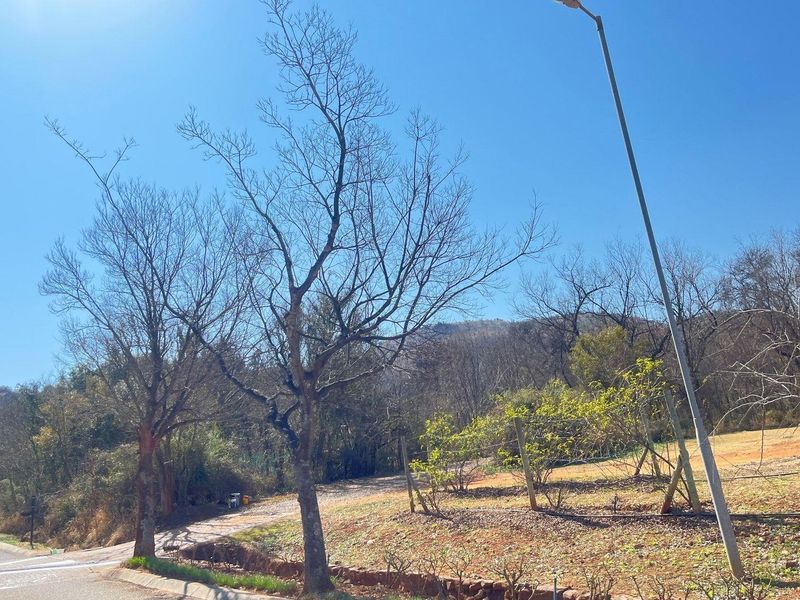 Vacant Land For Sale in Estate D' Afrique, Hartbeespoort, North West - Photo 4