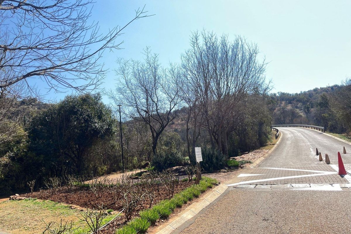 A view of the paved access road and surrounding landscape, showing the street frontage and established vegetation of the vacant residential property.