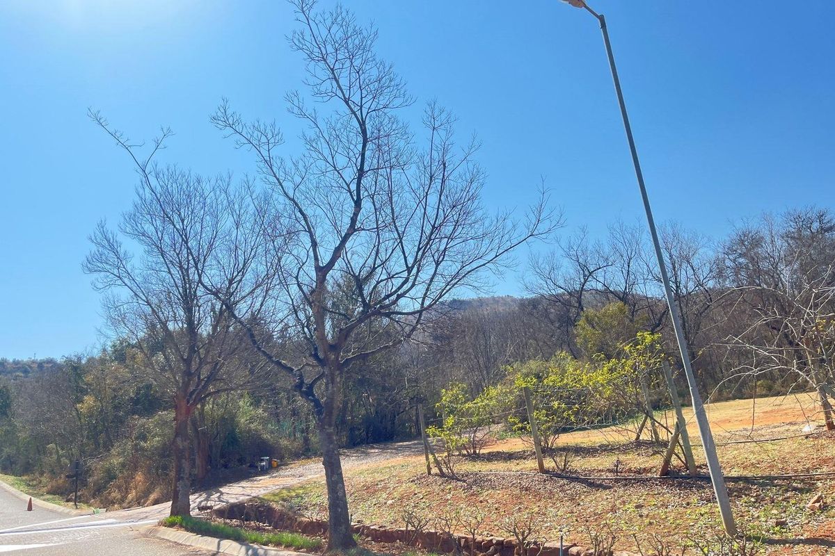 A view of the vacant residential land featuring mature trees, natural landscaping, and street-side infrastructure.