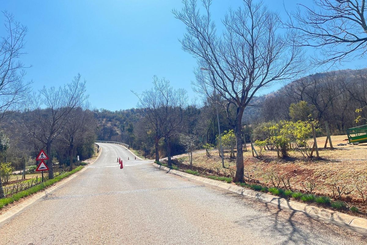 A view of a paved residential street with concrete curbing, surrounded by natural landscape and mature trees under a clear blue sky.