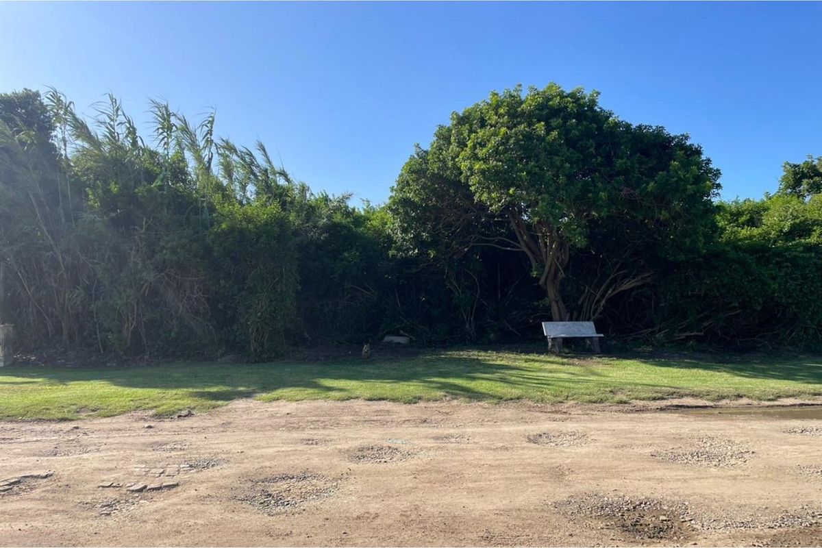 Uncleared Vacant Land For Sale - Sunrise On Sea - Photo 2