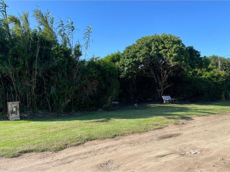 Uncleared Vacant Land For Sale - Sunrise On Sea - Photo 3