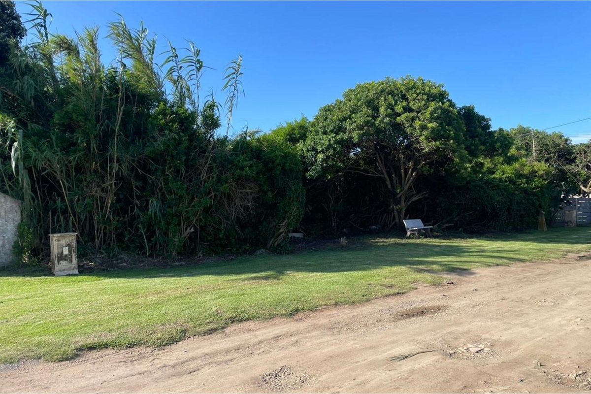 Uncleared Vacant Land For Sale - Sunrise On Sea - Photo 3