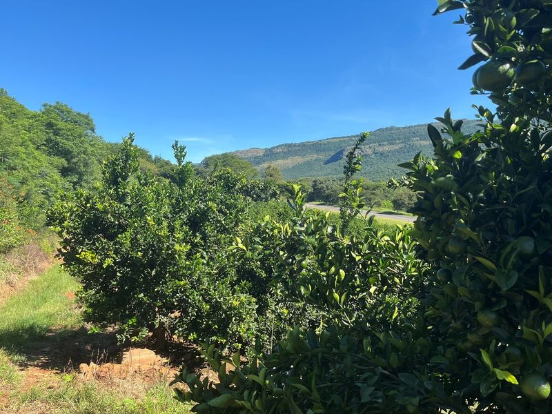 "Own a Piece of Paradise: 135ha Farm For Sale" - Photo 2