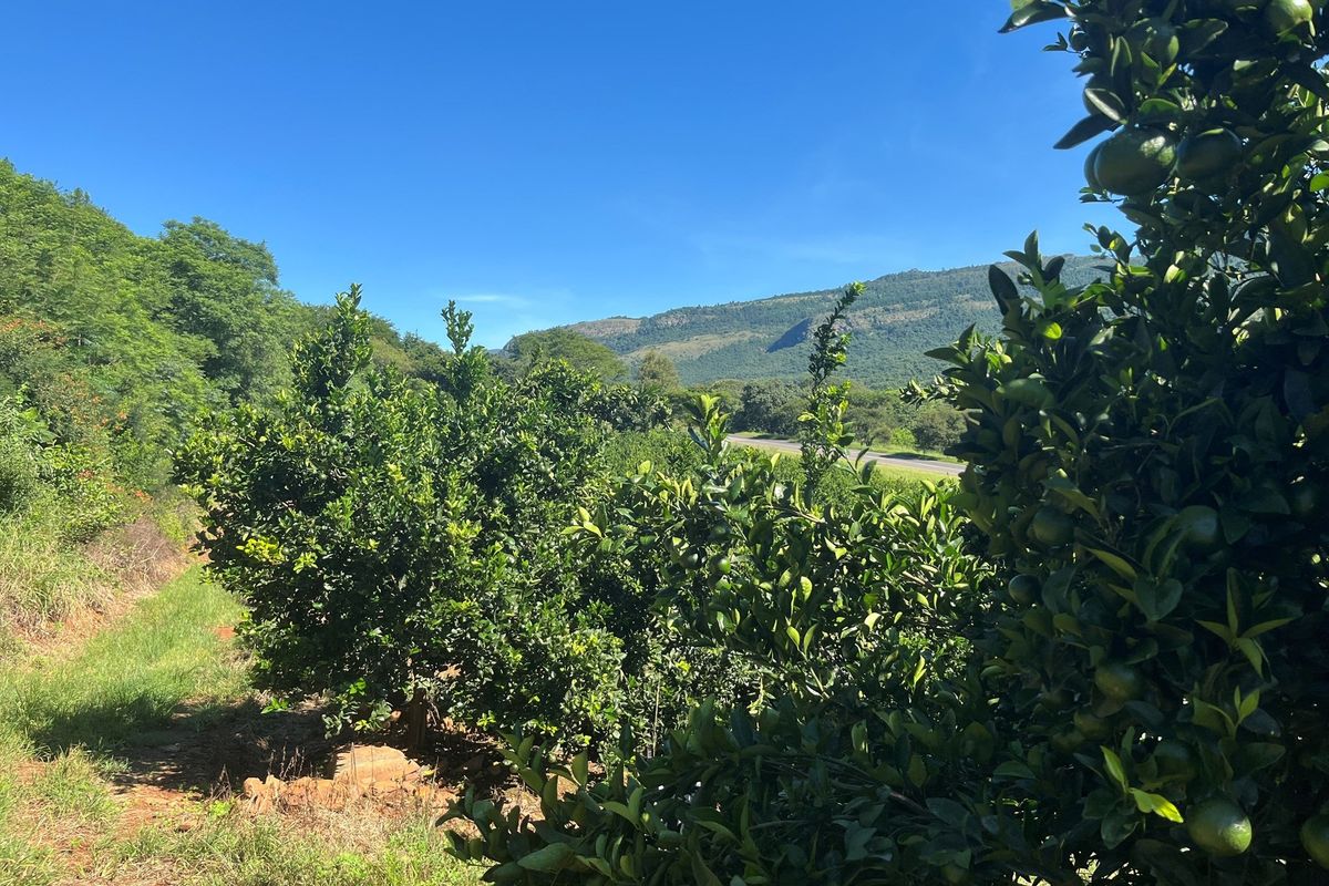 "Own a Piece of Paradise: 135ha Farm For Sale" - Photo 2