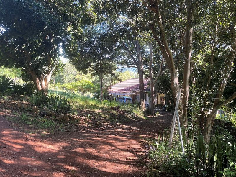 "Own a Piece of Paradise: 135ha Farm For Sale" - Photo 4