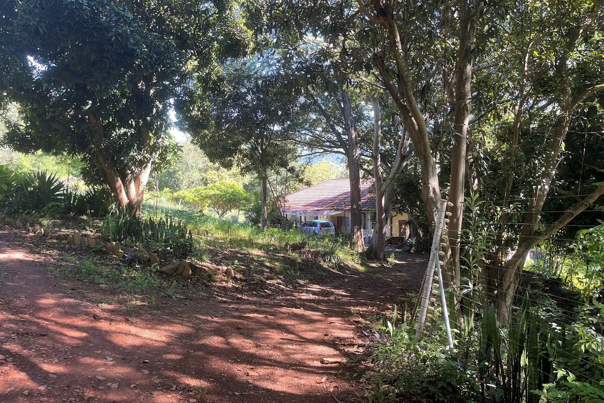 "Own a Piece of Paradise: 135ha Farm For Sale" - Photo 4