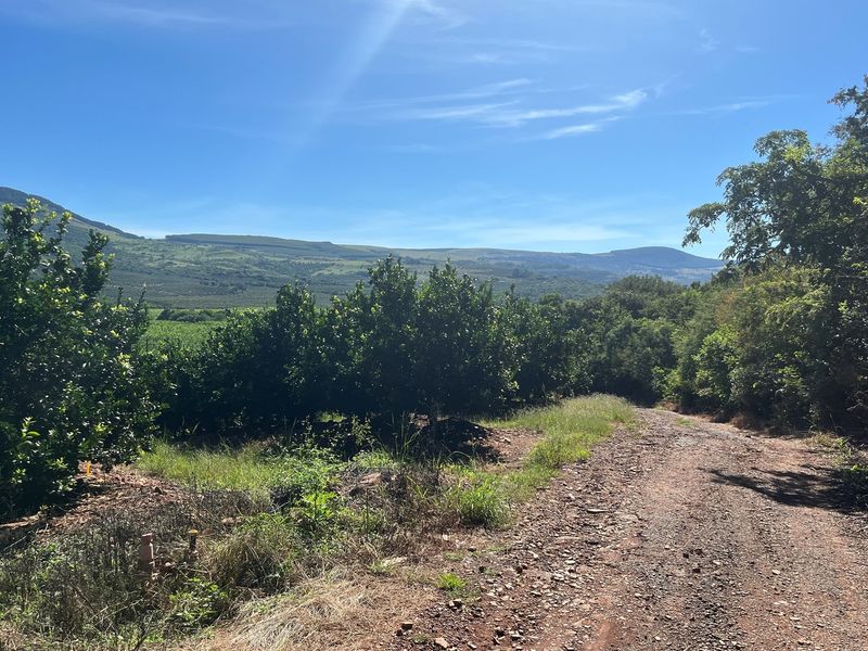 "Own a Piece of Paradise: 135ha Farm For Sale" - Photo 5