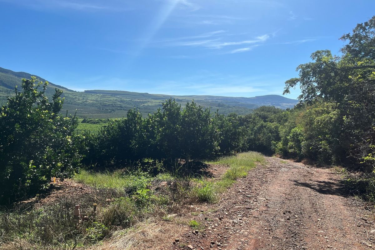 "Own a Piece of Paradise: 135ha Farm For Sale" - Photo 5