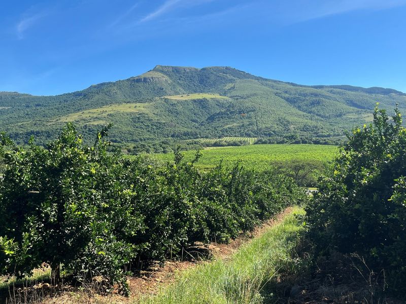 "Own a Piece of Paradise: 135ha Farm For Sale" - Photo 1