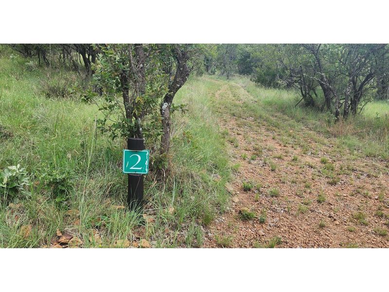 Innibos - 1 Ha Vacant land 16 km from Bela-Bela - Private Game Reserve - DOG Friendly - Photo 2