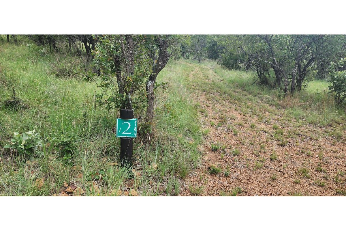 Innibos - 1 Ha Vacant land 16 km from Bela-Bela - Private Game Reserve - DOG Friendly - Photo 2