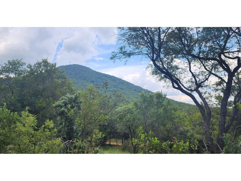 Innibos - 1 Ha Vacant land 16 km from Bela-Bela - Private Game Reserve - DOG Friendly - Photo 7