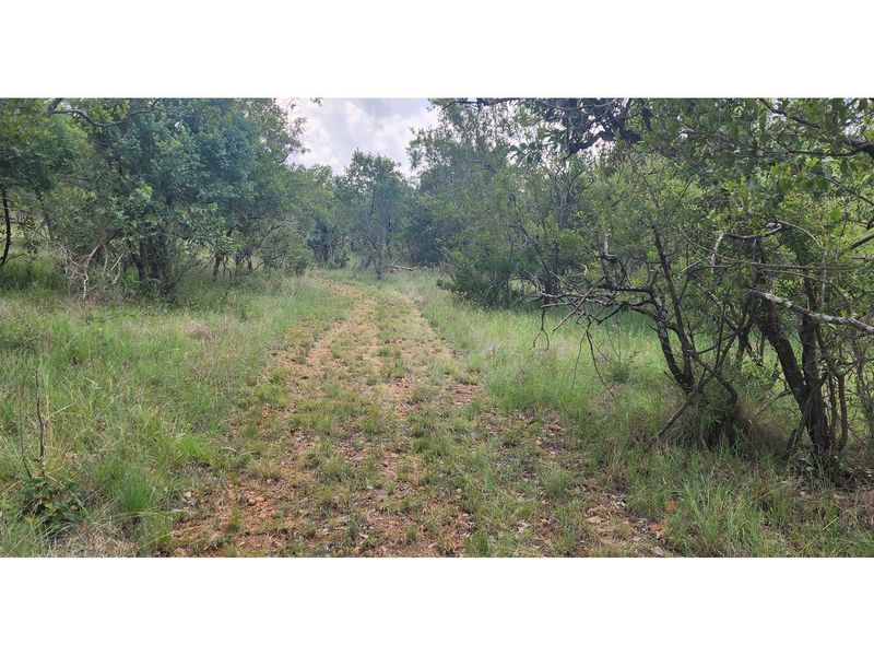 Innibos - 1 Ha Vacant land 16 km from Bela-Bela - Private Game Reserve - DOG Friendly - Photo 3