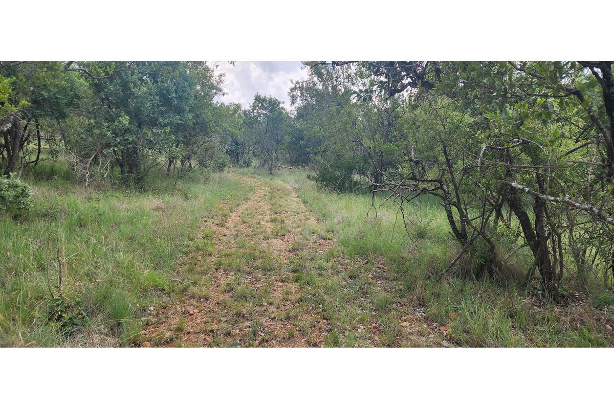 Innibos - 1 Ha Vacant land 16 km from Bela-Bela - Private Game Reserve - DOG Friendly - Photo 3