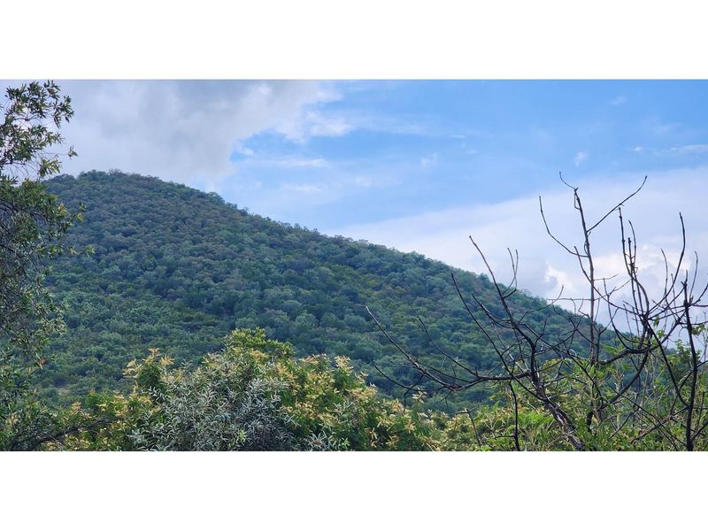 Innibos - 1 Ha Vacant land 16 km from Bela-Bela - Private Game Reserve - DOG Friendly - Photo 4