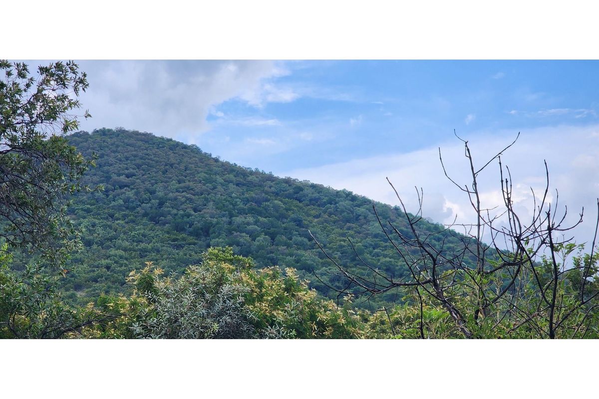 Innibos - 1 Ha Vacant land 16 km from Bela-Bela - Private Game Reserve - DOG Friendly - Photo 4