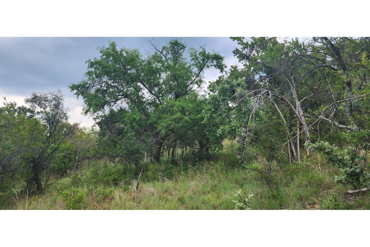 Innibos - 1 Ha Vacant land 16 km from Bela-Bela - Private Game Reserve - DOG Friendly - Photo 5