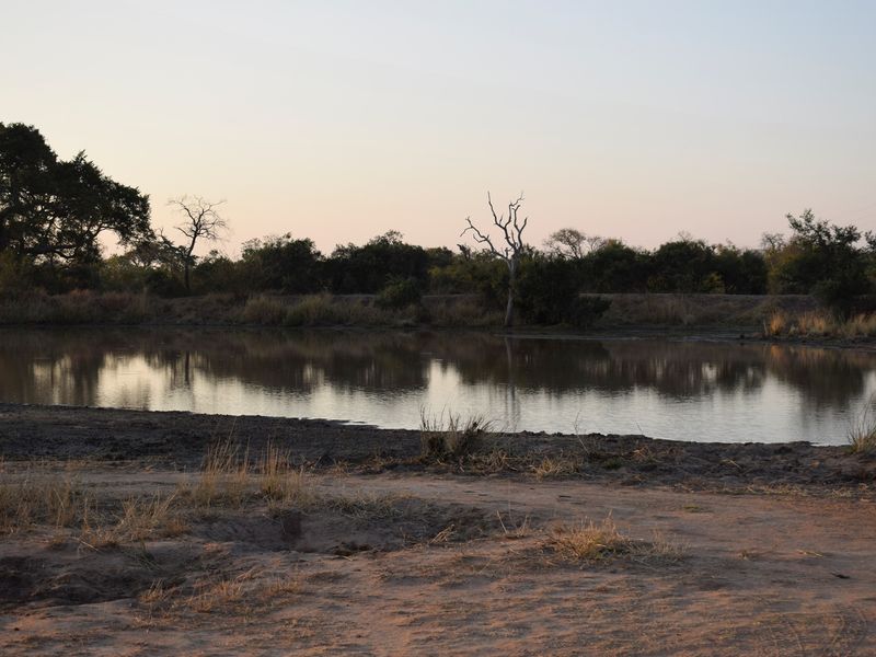 Centrally located, 1ha stand in Moditlo Wildlife Estate, bordering the riverine, Hoedspruit - Photo 7