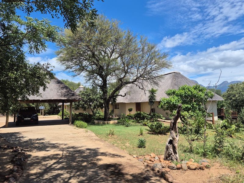 A view of the property exterior featuring a thatched roof structure, a paved driveway, and established garden landscaping in a natural setting.