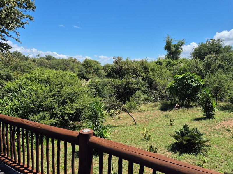 Luxurious Thatch Roof, Bushveld Home in Blyde Wildlife Estate, Hoedspruit. EXCELLENT VALUE - Photo 9