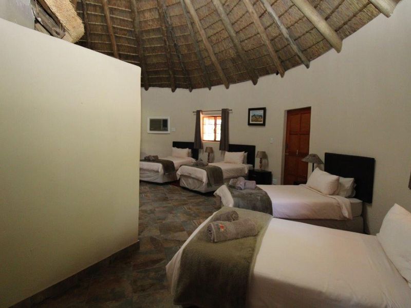 South Africa - INVESTMENT - Private Game Reserve and Lodge near Bela Bela - Photo 10