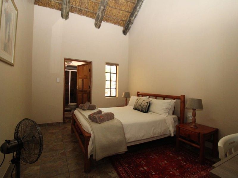 South Africa - INVESTMENT - Private Game Reserve and Lodge near Bela Bela - Photo 7