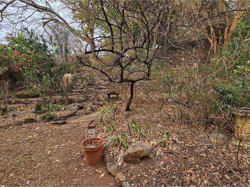 A sloped garden area featuring natural stone pathways, mature trees, and established landscaping, offering a rustic outdoor space for the cottage.