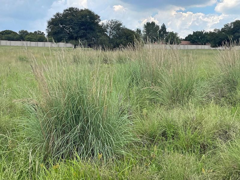 A view of a vacant residential plot featuring tall natural grass and a perimeter boundary wall in the background.