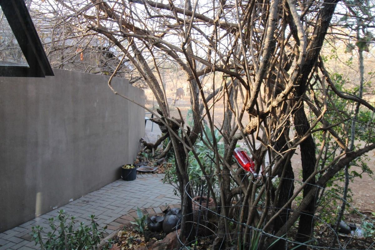 A view of a paved outdoor walkway alongside a solid boundary wall, surrounded by mature trees and natural vegetation.