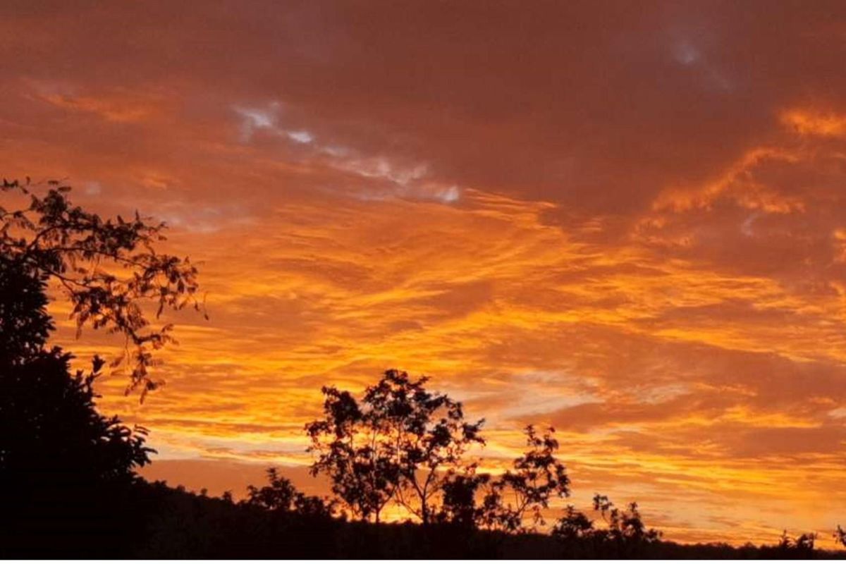 Highlands Wilderness - Three bedroom house with spectacular mountain views - Photo 3